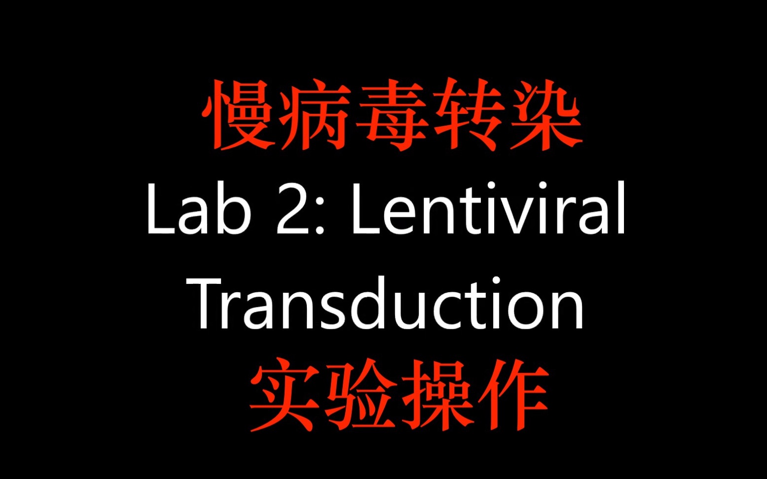 慢病毒转染Lentiviral Transduction实验操作哔哩哔哩bilibili