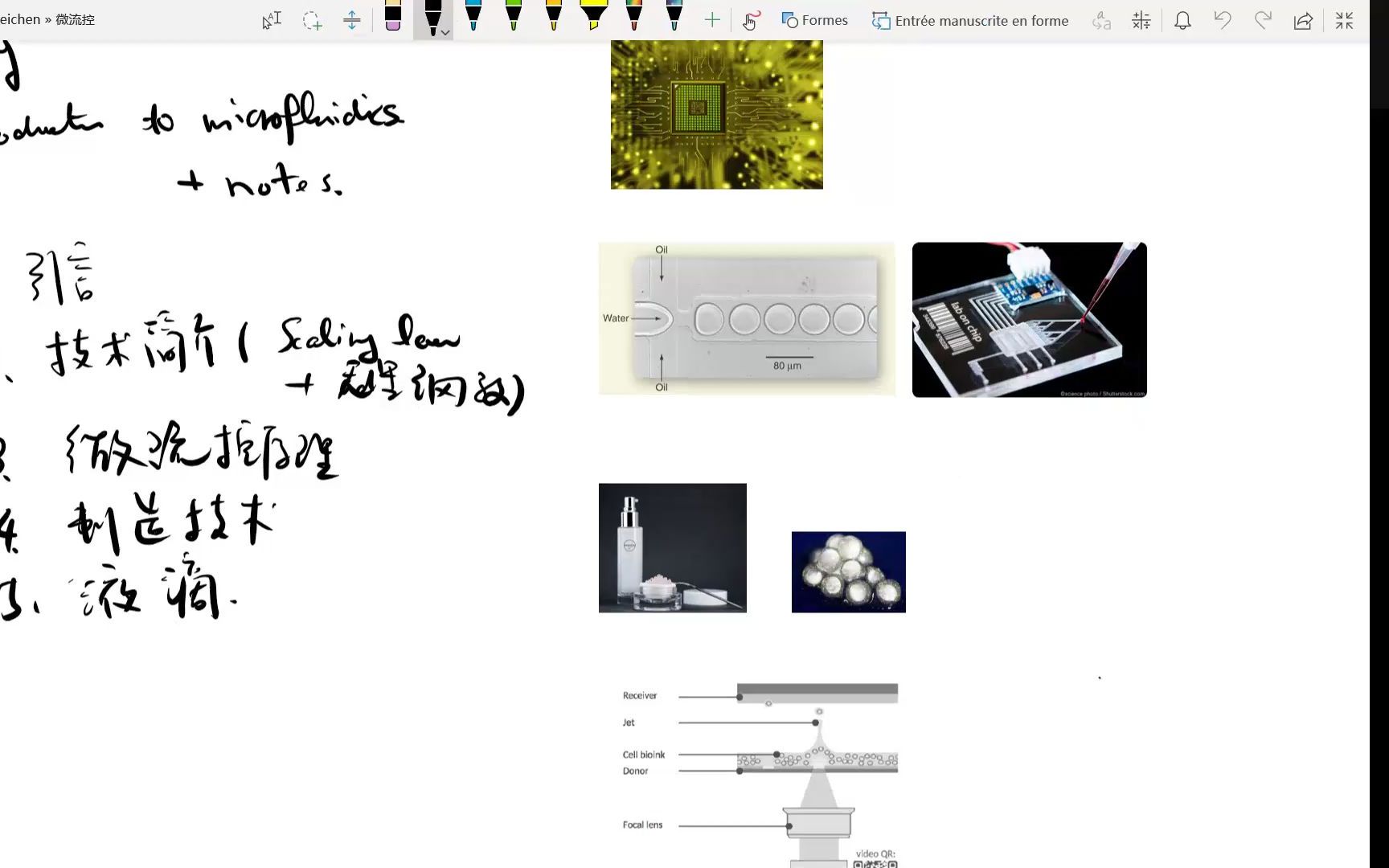 微流控芯片 L1简介哔哩哔哩bilibili