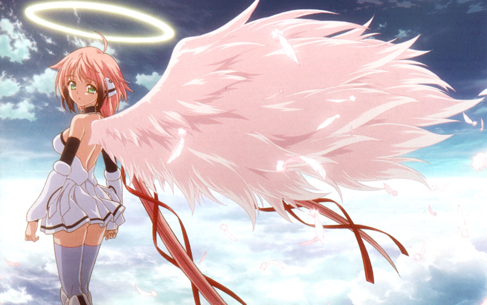 【天降之物】【慎入】新人乱剪 笨蛋笨蛋!