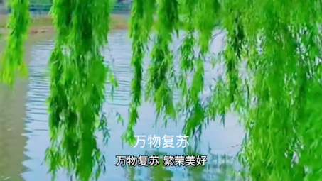 清明节有哪些习俗哔哩哔哩bilibili