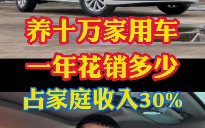 养10万块家用车你一年要花多少钱?不要超过庭收入30%哔哩哔哩bilibili