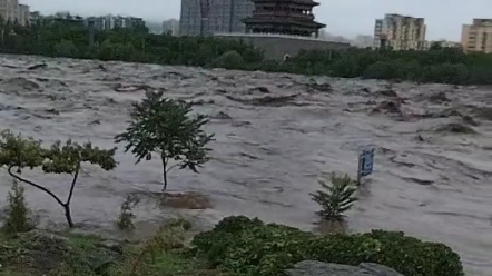 記錄2023.0731北京暴雨過後