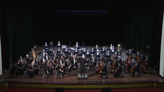 【世界名曲】《拉科奇进行曲》跳跃的旋律,充满了生机和活力哔哩哔哩bilibili