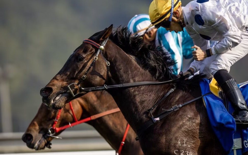 " 2023年2月26日 沙田7r 香港金杯(g1) 金枪六十/golden sixty