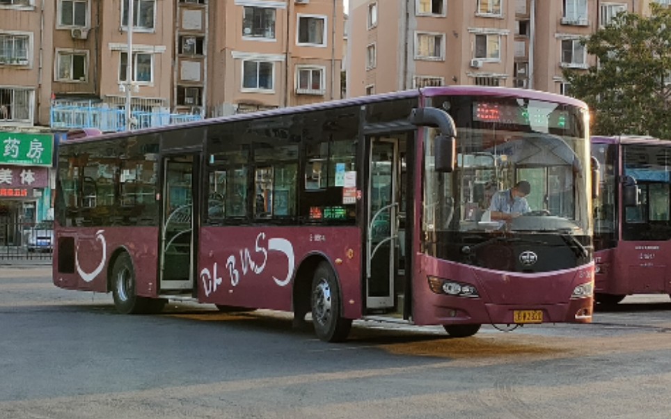 「20-pov-8」【大连公交】19路(中山广场→华南广场)全程第一视角 pov