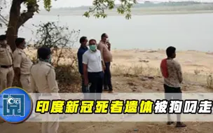 Download Video: 火葬场崩溃，印度又现骇人一幕：尸体烧一半被狗叼走，拖进居民区