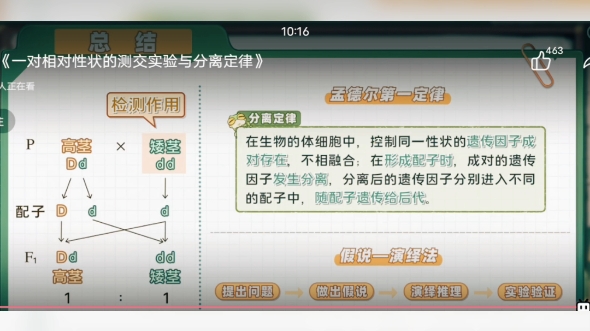 高二上学期生物遗传选修一基础知识哔哩哔哩bilibili