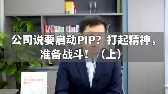 下载视频: 公司说要启动PIP？打起精神，准备战斗！（上）