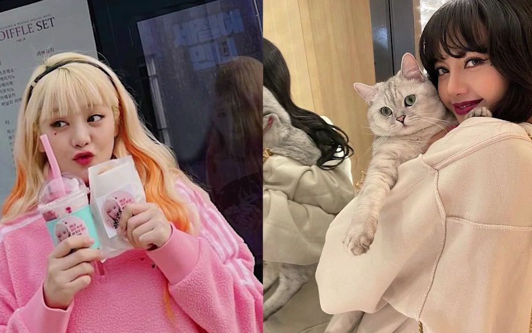 【lisa】暖送应援餐车 minnie新剧搭档got7崔荣宰引期待_哔哩哔哩