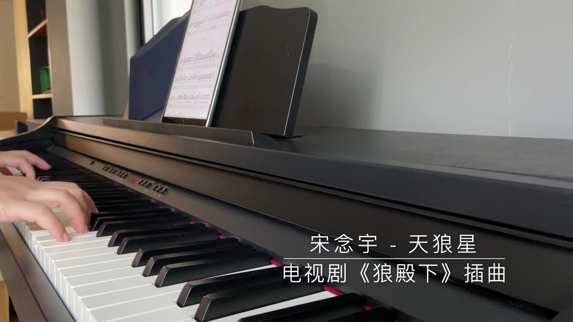 钢琴宋念宇天狼星狼殿下插曲