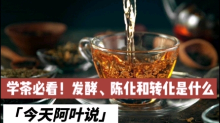 今天阿叶说:学茶必看!发酵、陈化和转化是什么?喝普洱茶必备3个专业知识!记得收藏哦~哔哩哔哩bilibili