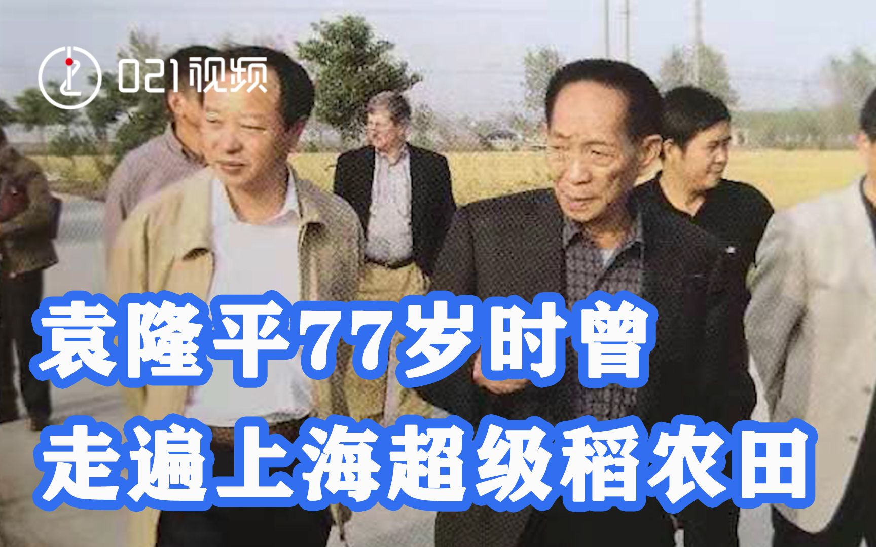 袁隆平77岁曾走遍上海超级稻农田:亲自下地,“已和农业农民土地融在一起了”哔哩哔哩bilibili