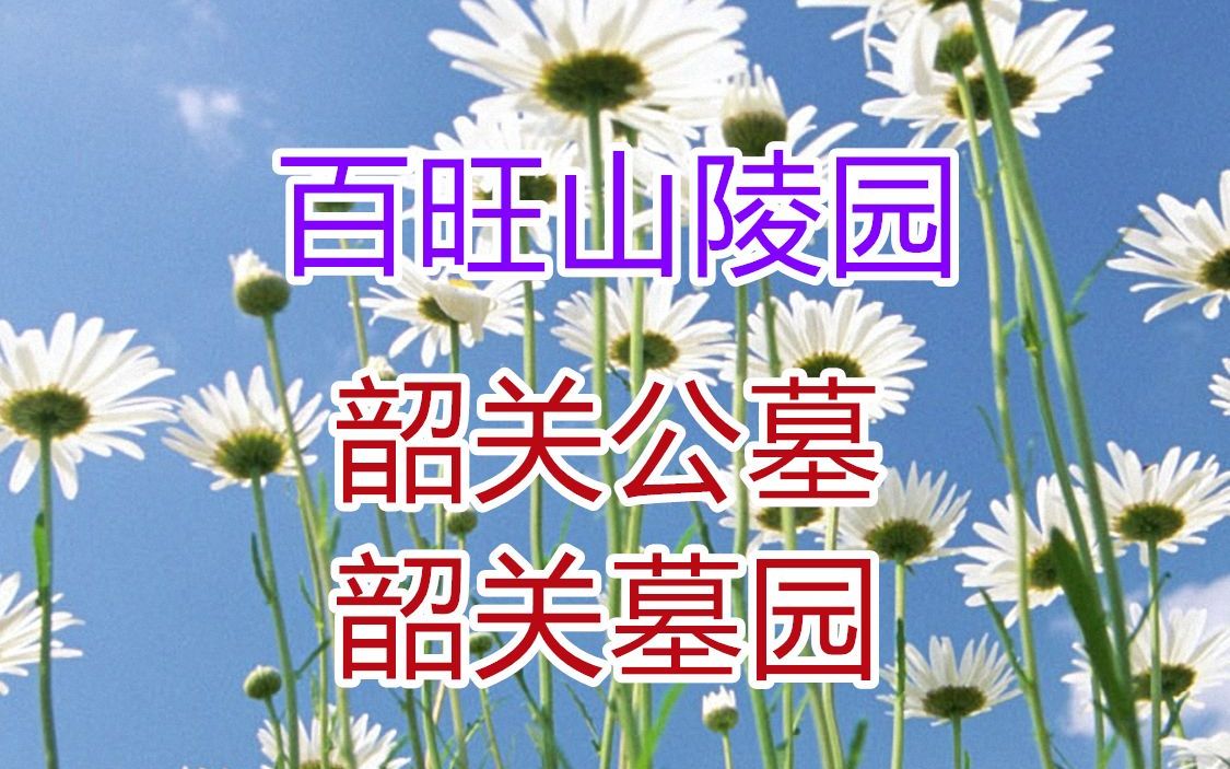 韶关百旺山生态陵园,韶关公墓,百旺山墓园哔哩哔哩bilibili