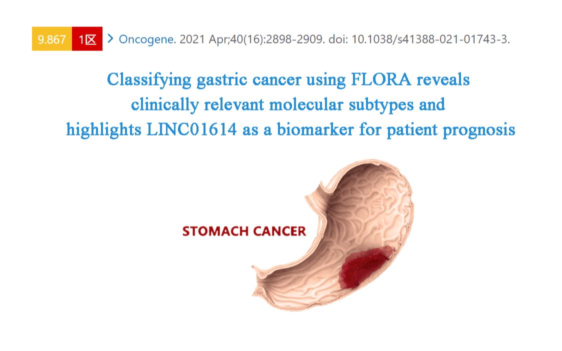 跟着 Oncogene学习胃癌的分子亚型哔哩哔哩bilibili