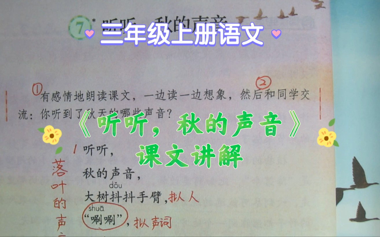 [图]三上语文《听听，秋的声音》课文讲解，在秋天，你都听到了什么声音？可以和我分享吗？