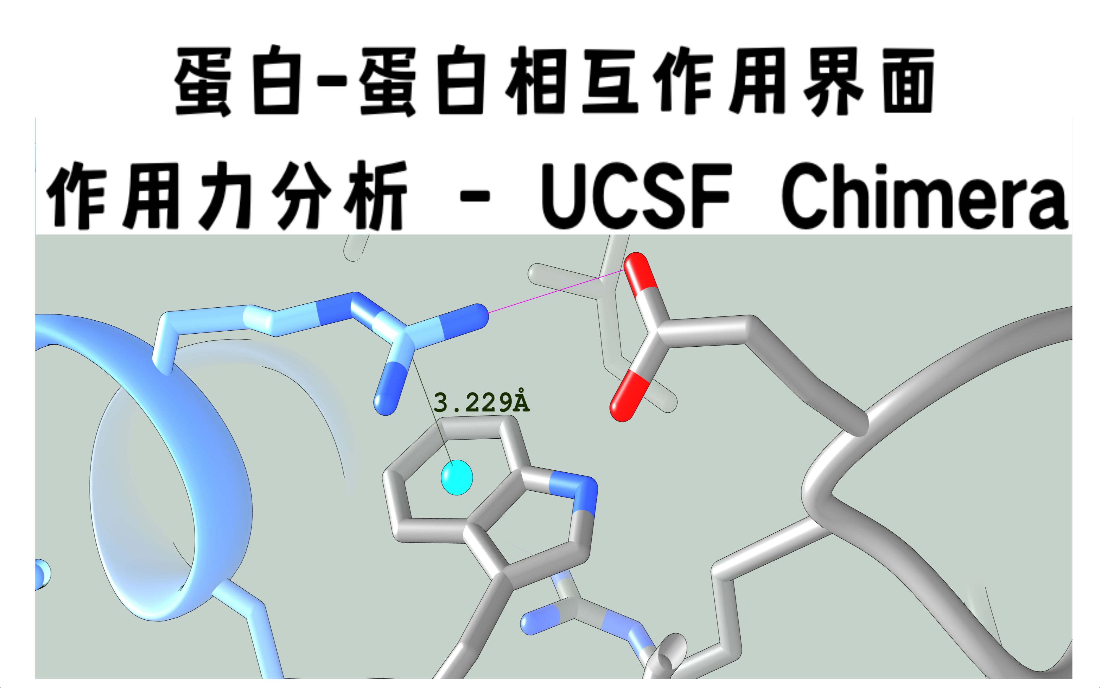 UCSF Chimera  蛋白蛋白相互作用界面作用力分析哔哩哔哩bilibili