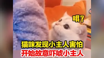 Download Video: 猫咪发现小主人害怕，开始故意吓唬小主人，小猫：哟吼 这么好玩！