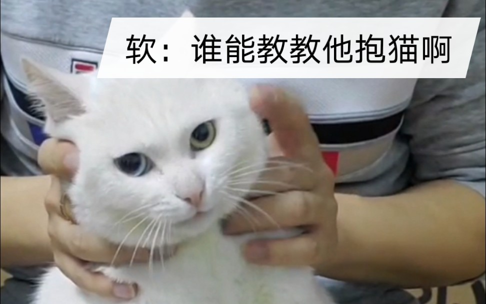 【juli刘】直播回放:爸爸:我可以把它提起来!(骄傲)