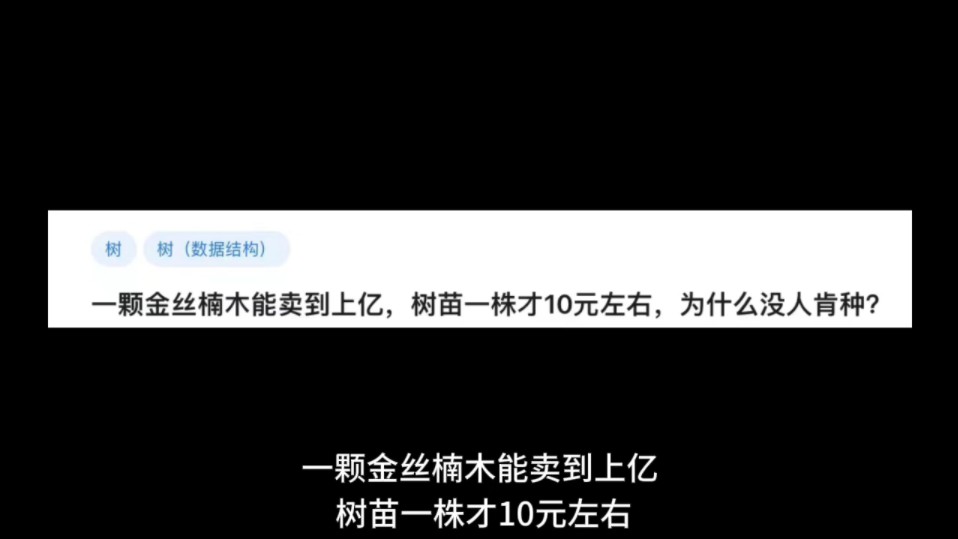 一颗金丝楠木能卖到上亿,树苗一株才10元左右,为什么没人肯种?哔哩哔哩bilibili