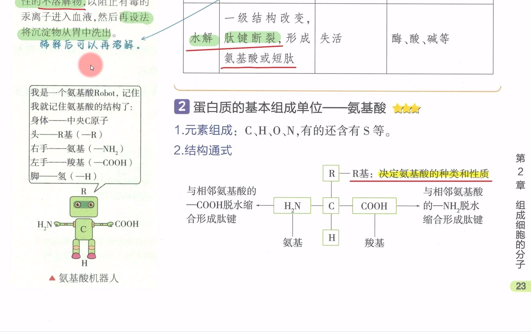 【2023生物必刷题】P5上蛋白质(概念课)哔哩哔哩bilibili