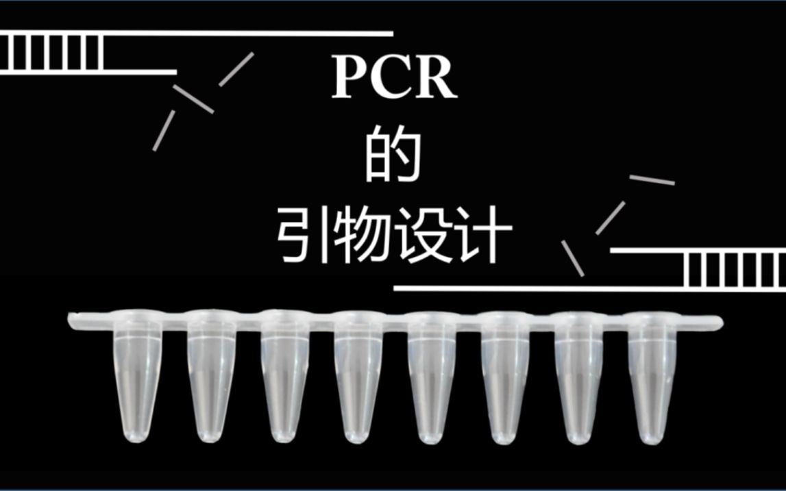活动作品分子生物学技能谈谈pcr的引物设计
