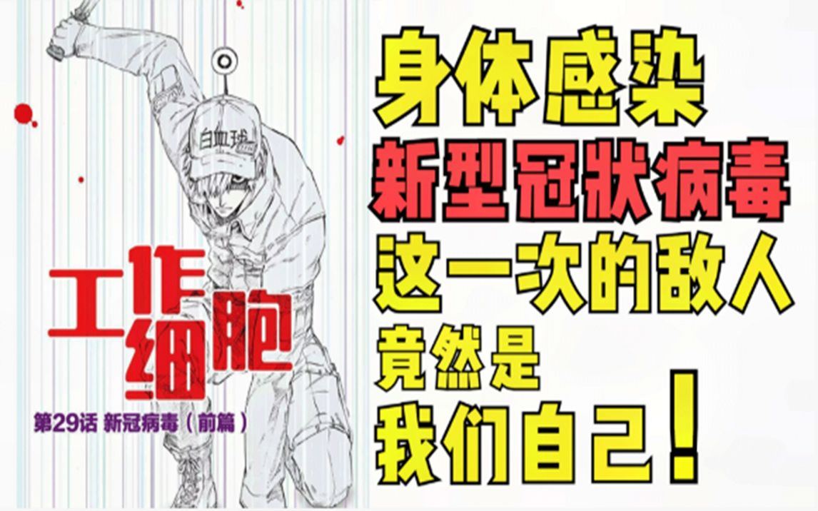 [图]【工作细胞】漫画 新冠前篇 身体遭遇到了新型冠状病毒的袭击！！