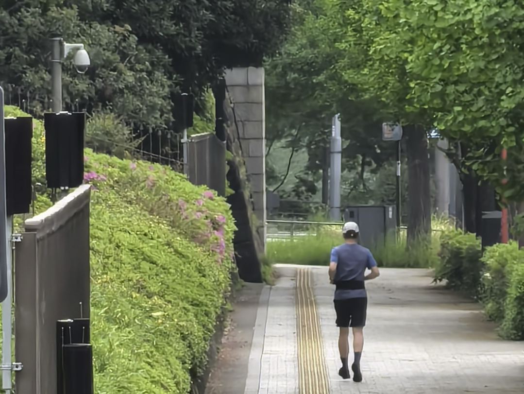 东京跑步+闲聊天 主打一个东拉西扯 |IPBA国际律师会议| 史律说哔哩哔哩bilibili