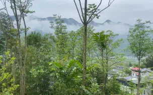 下载视频: 十八尖峰朝龙窝，房房皆发的好风水，王君植风水大师湖北视频分享