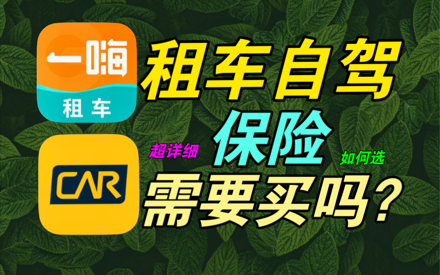 【超详细攻略】租车自驾游需要买保险吗?如何选购适合自己的保险?大学生必须买保险吗?哔哩哔哩bilibili