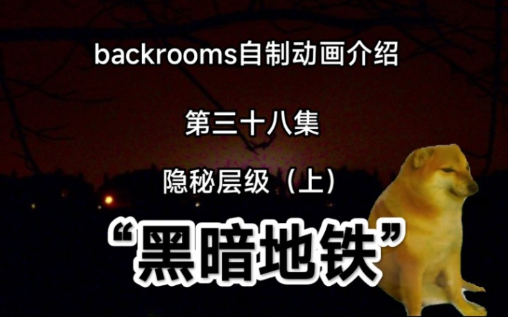 [图][自制backrooms后室动画]黑暗地铁中的恐怖仪式！（上）