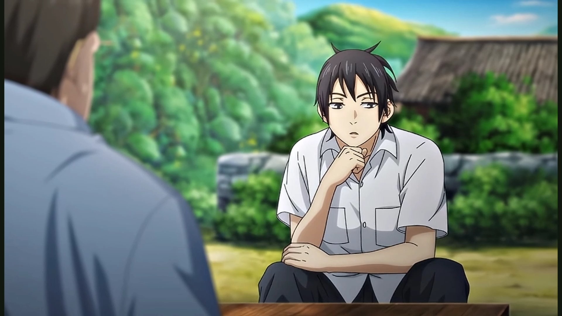 张楚岚说得正确吗?