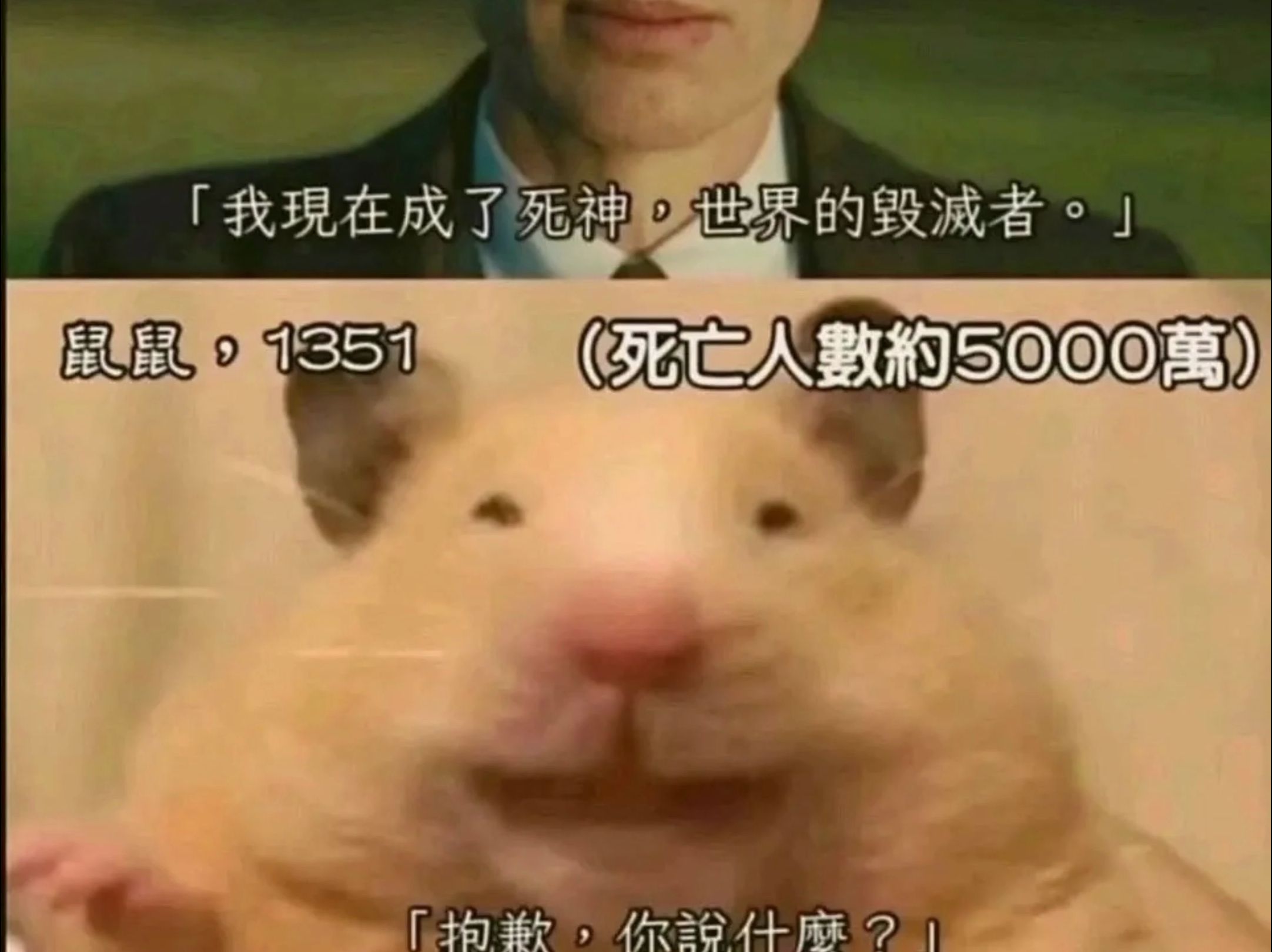 鼠鼠:你想跟我比划比划吗