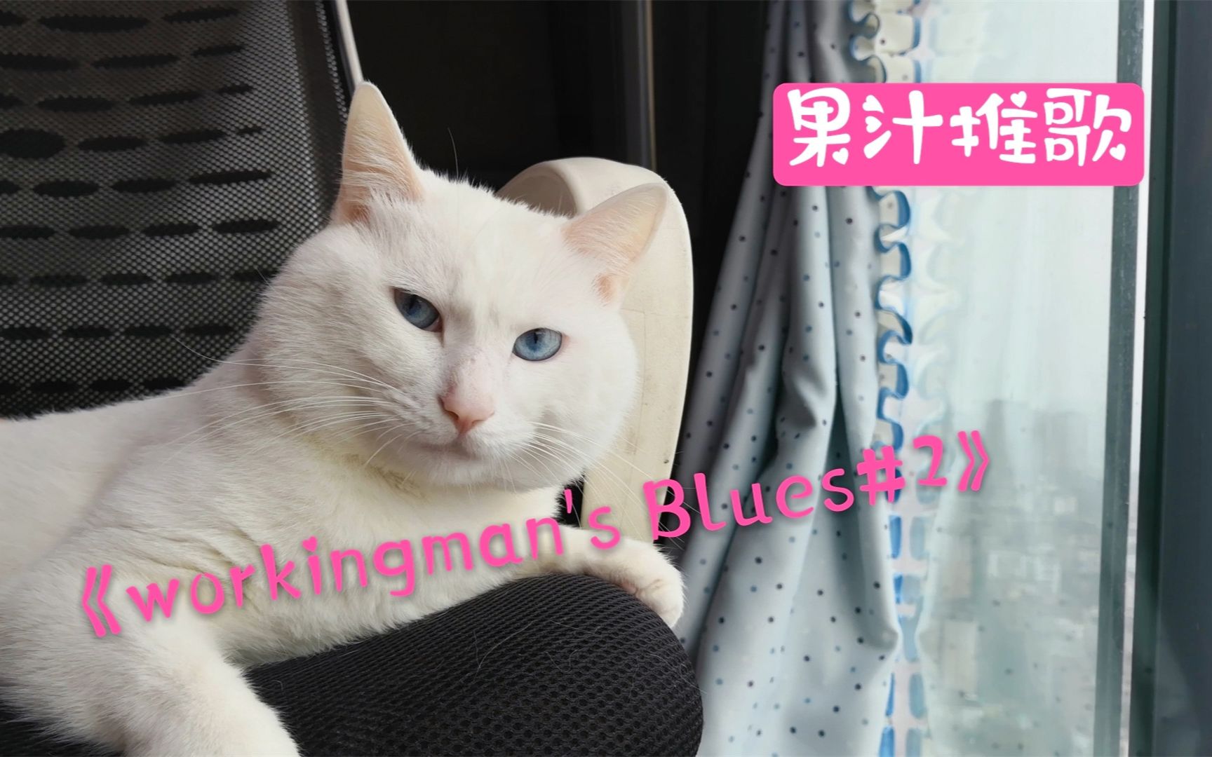 [图]【果汁推歌】猫咪来推歌，今日歌单《Workingman's Blues #2》