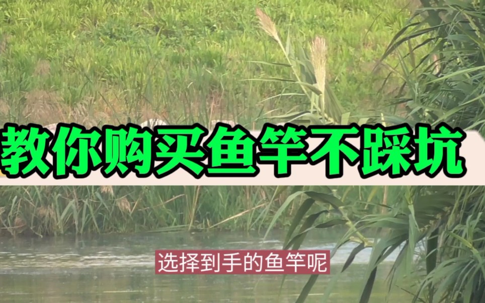 购买鱼竿踩坑很多 反正我跳出来了 ,今天呢就把这些经验交给大家 !哔哩哔哩bilibili