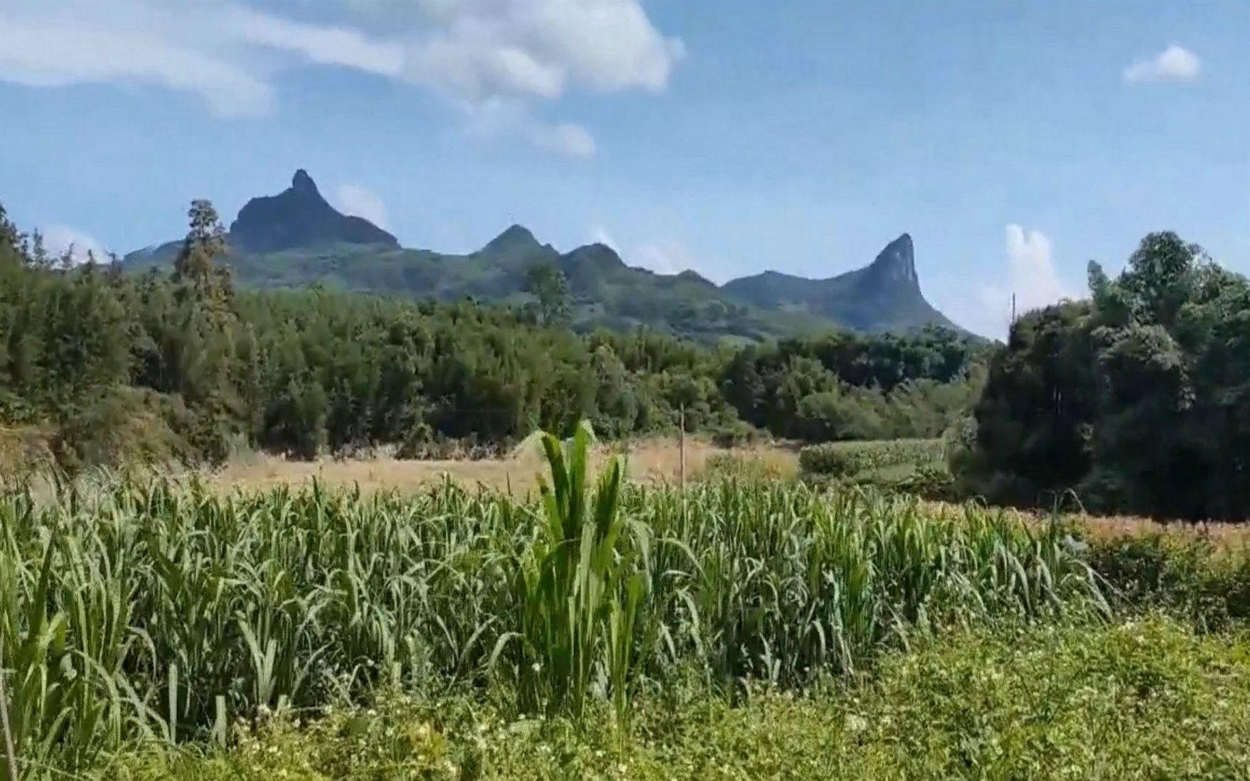 [图]在广西柳州这样的龙脉，才是真正的好风水，古人捷足先登用宝地