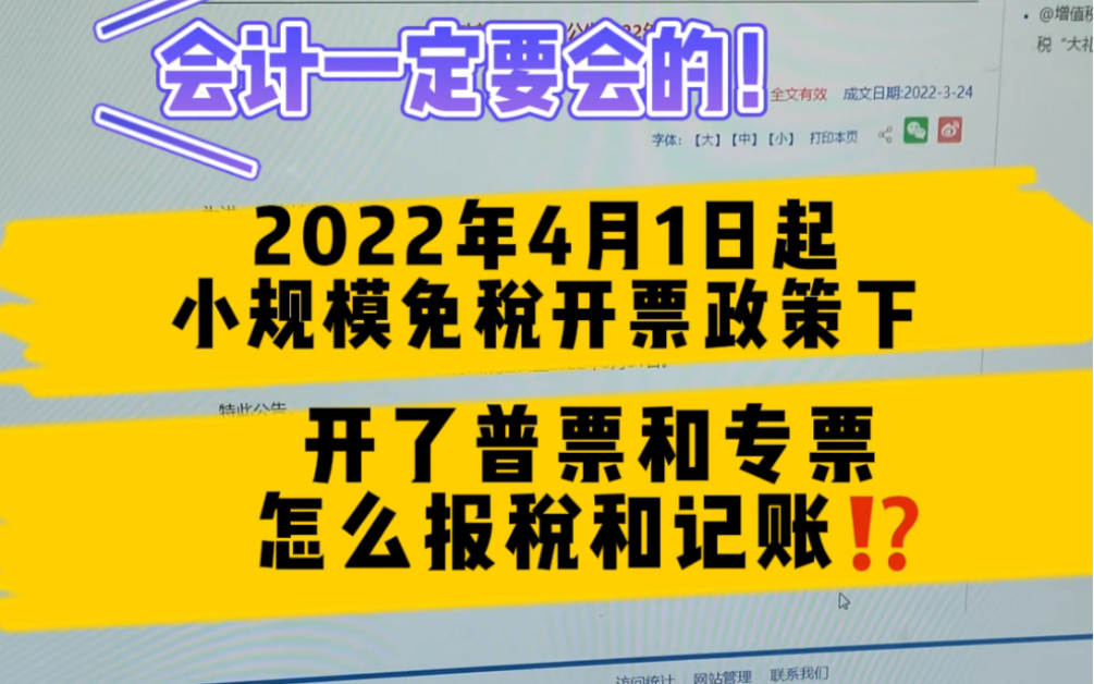 会计实操/小规模新政策下❗️开具免税普票又来了专票,怎么报税和记账⁉️哔哩哔哩bilibili