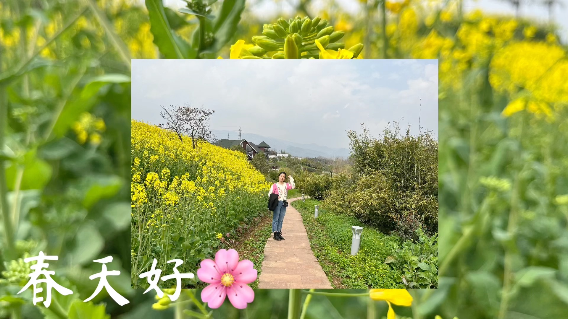 [图]浙师与春天的油菜花