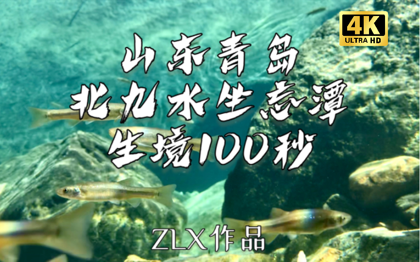 水下生境100秒|山东青岛 北九水坐忘潭 1 拍摄水下已经有五个年头了,北九水依旧是我所拍摄的最清澈的生境……哔哩哔哩bilibili