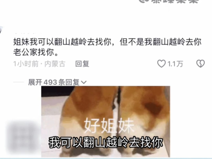 当闺蜜嫁进大山 如果是我姐妹的话 我真的会当场哭出来的程度… #闺蜜 #姐妹哔哩哔哩bilibili