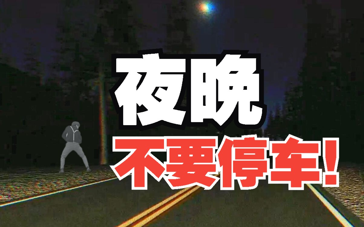 夜晚不要在路边停车!DrivingHome!实况解说