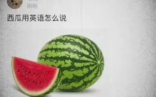 西瓜英语怎么讲 搜索结果 哔哩哔哩 Bilibili