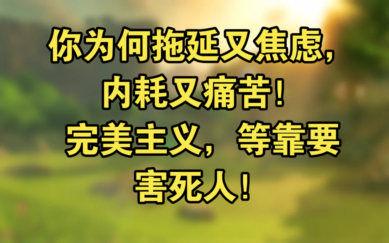 实践人生系列:你为何拖延又焦虑,内耗又痛苦!完美主义,等靠要 害死人!哔哩哔哩bilibili