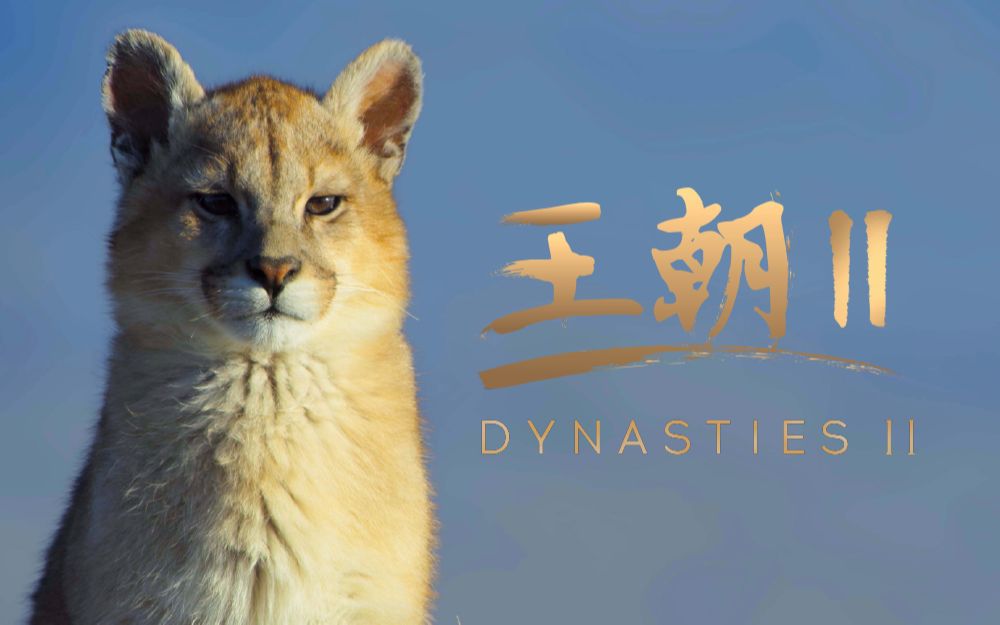 王朝2ep1预告-纪录片-高清独家在线观看-bilibili-哔哩哔哩