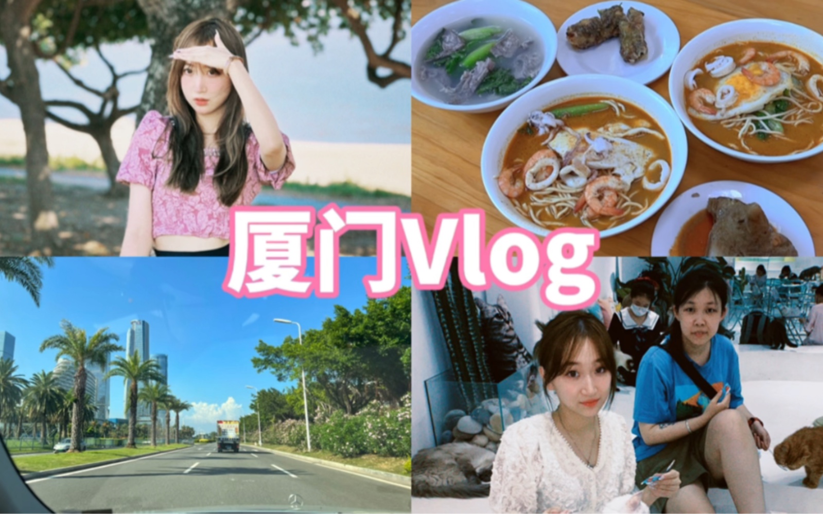 [图]厦门Vlog｜猫咪博物馆踩雷//我宣布福建的粽子赢了太太太好吃了