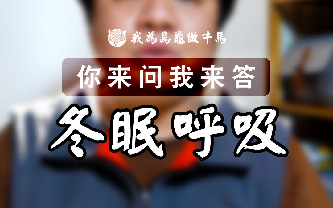 龟在水底冬眠怎么呼吸?会不会淹死?哔哩哔哩bilibili