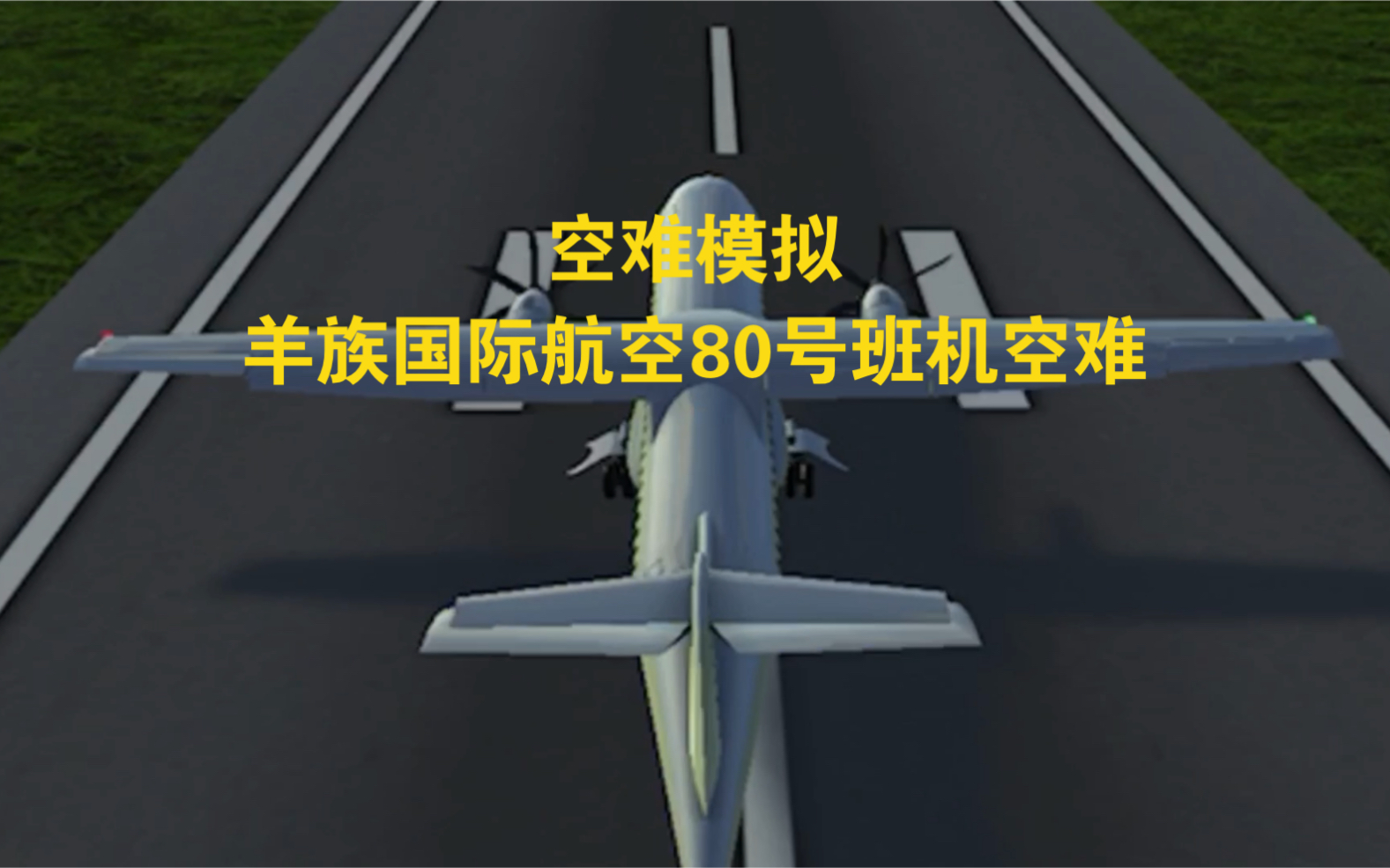 [图]【夺命海豚跳】羊族国际航空80号航班空难