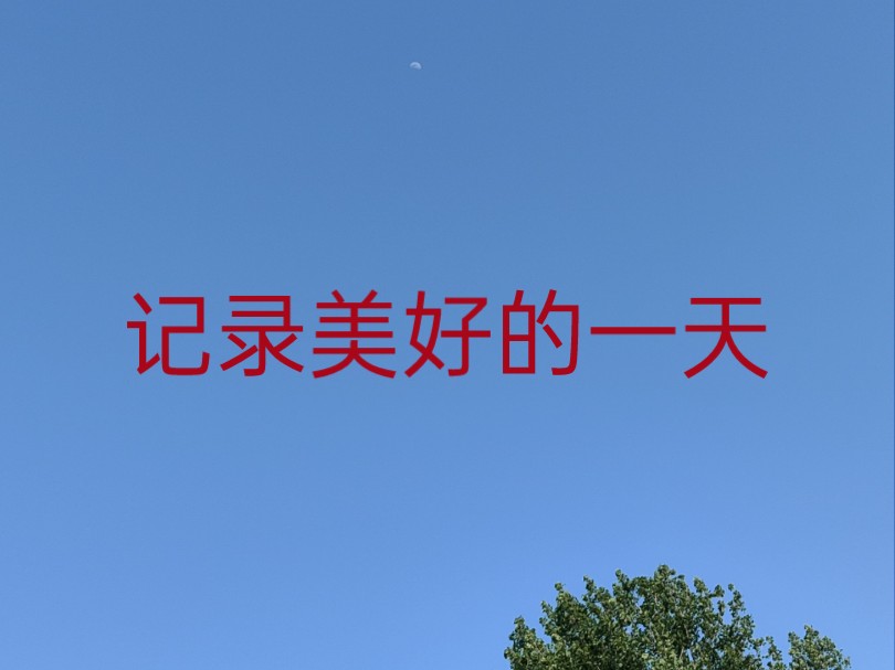 喂喂鸡,鹅,把花插在花瓶里,做做运动,美好的一天结束了