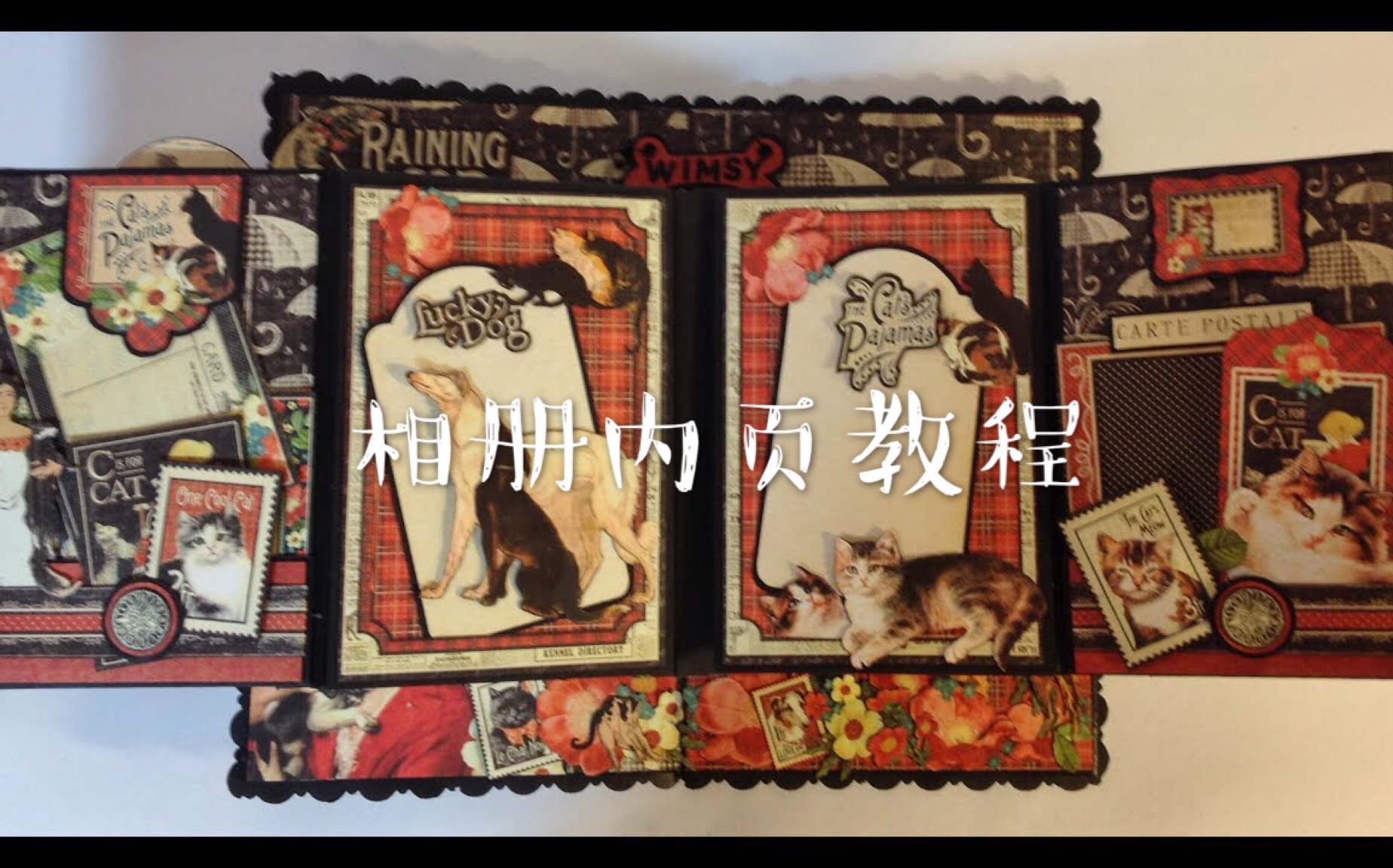 【搬运】4*6寸相册内页制作装饰教程多集G45 raining cat and dog纸本哔哩哔哩bilibili