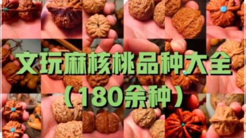 文玩核桃大合集,你都见过哪个品种,说说最想要哪个品种,我看看能不能给你们送一波