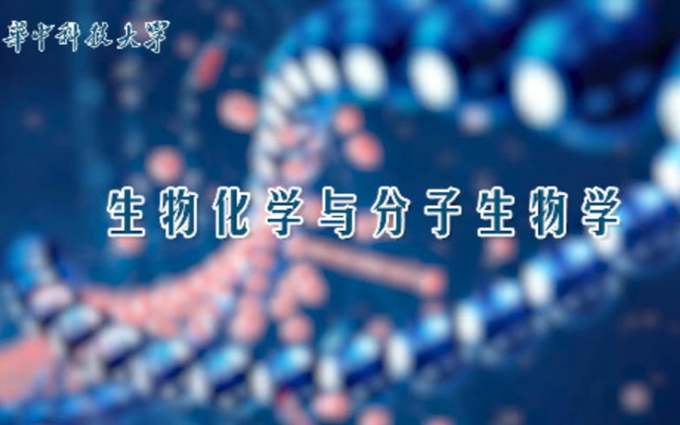 [图]【华中科技大学】《生物化学与分子生物学》孙军等